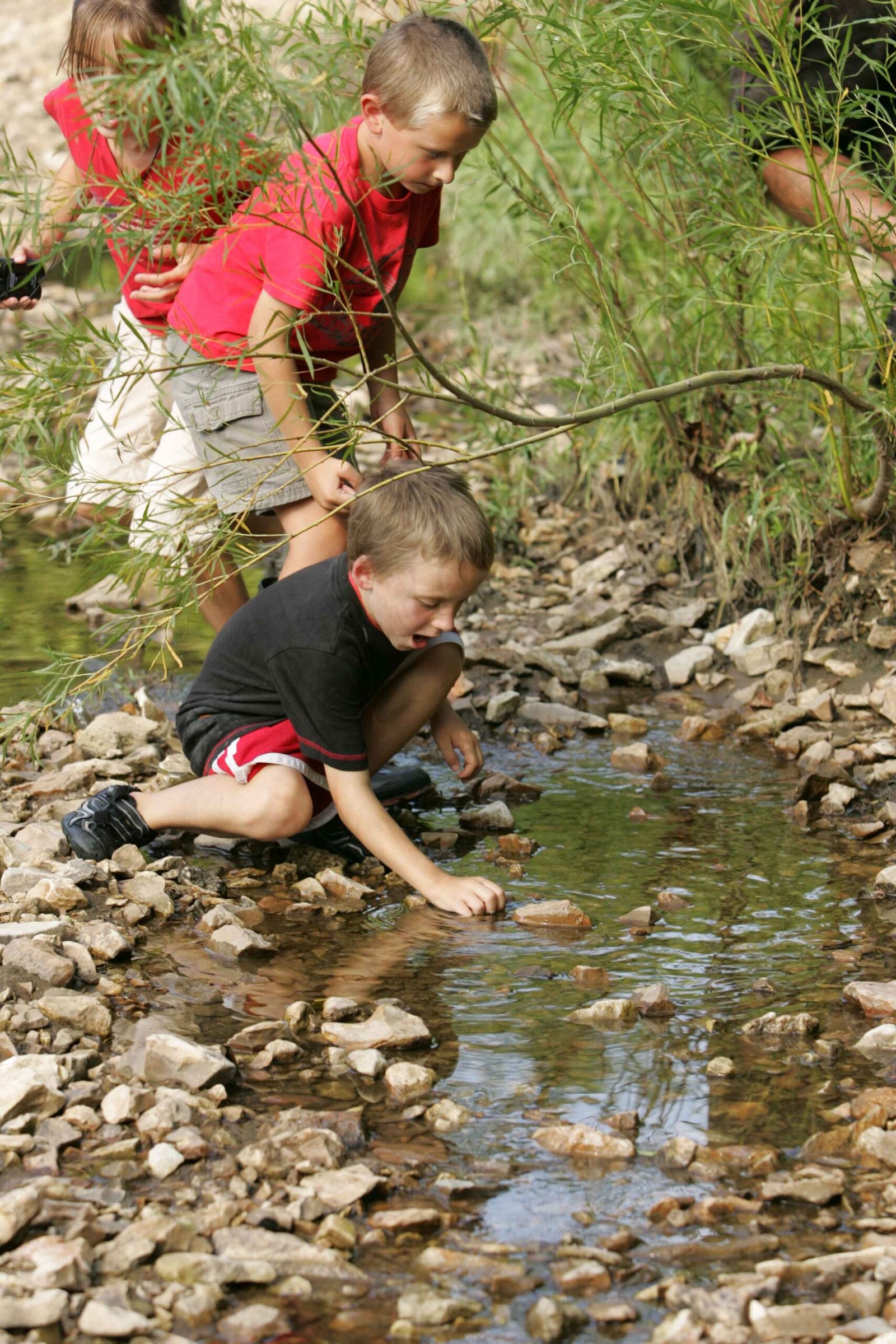 Analog Play Was the Heartbeat of Childhood (image credits: wikimedia)