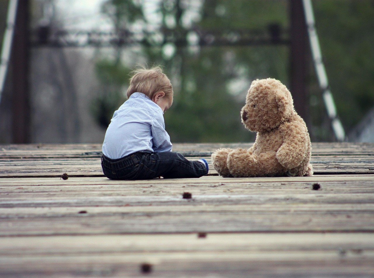 Beanie Babies The Plush Gold Rush Nobody Saw Coming (image credits: pixabay)