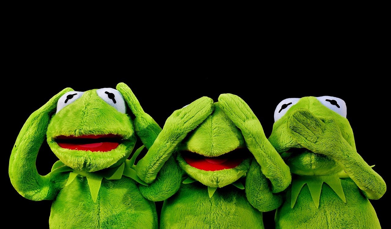 Holding On Long After the Party Ended (image credits: pixabay)