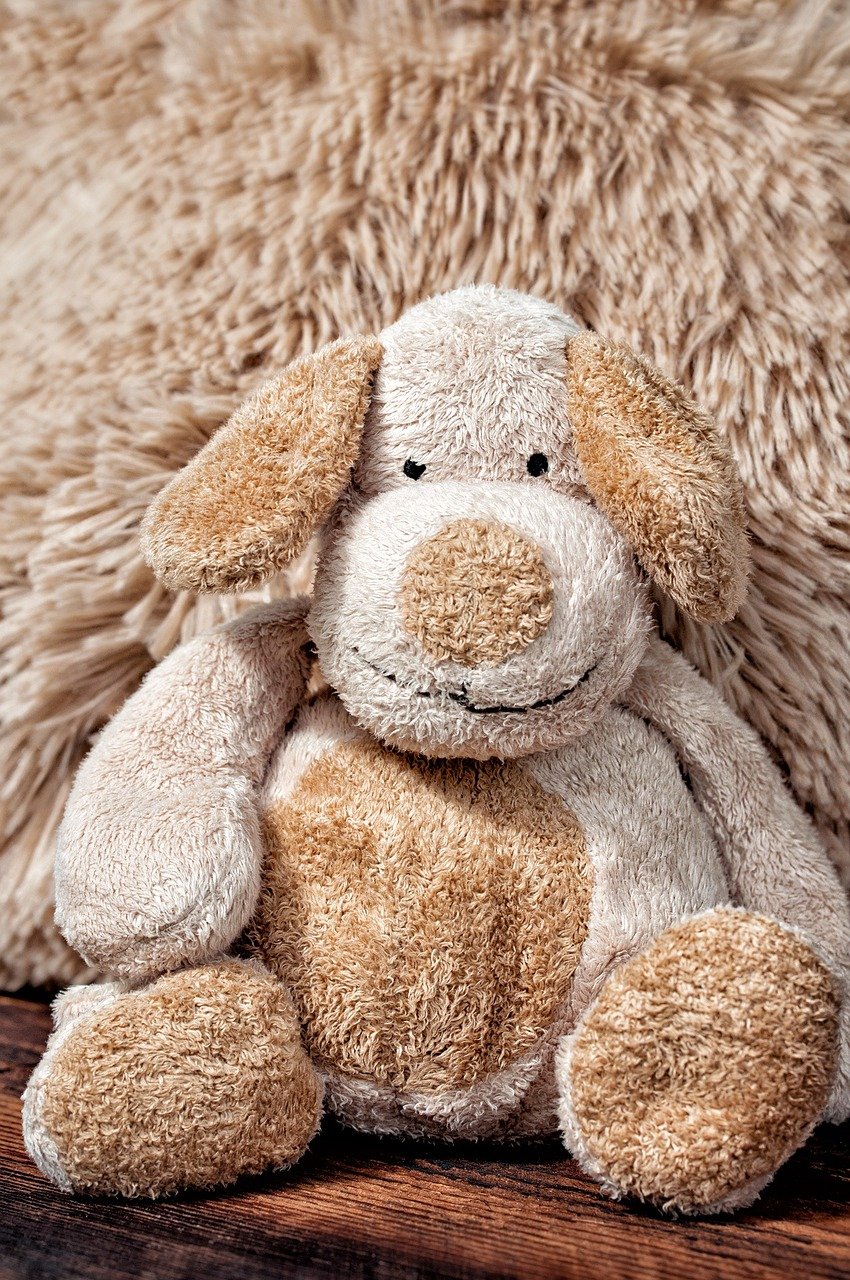 Letting Sentiment Blind Good Judgment (image credits: pixabay)
