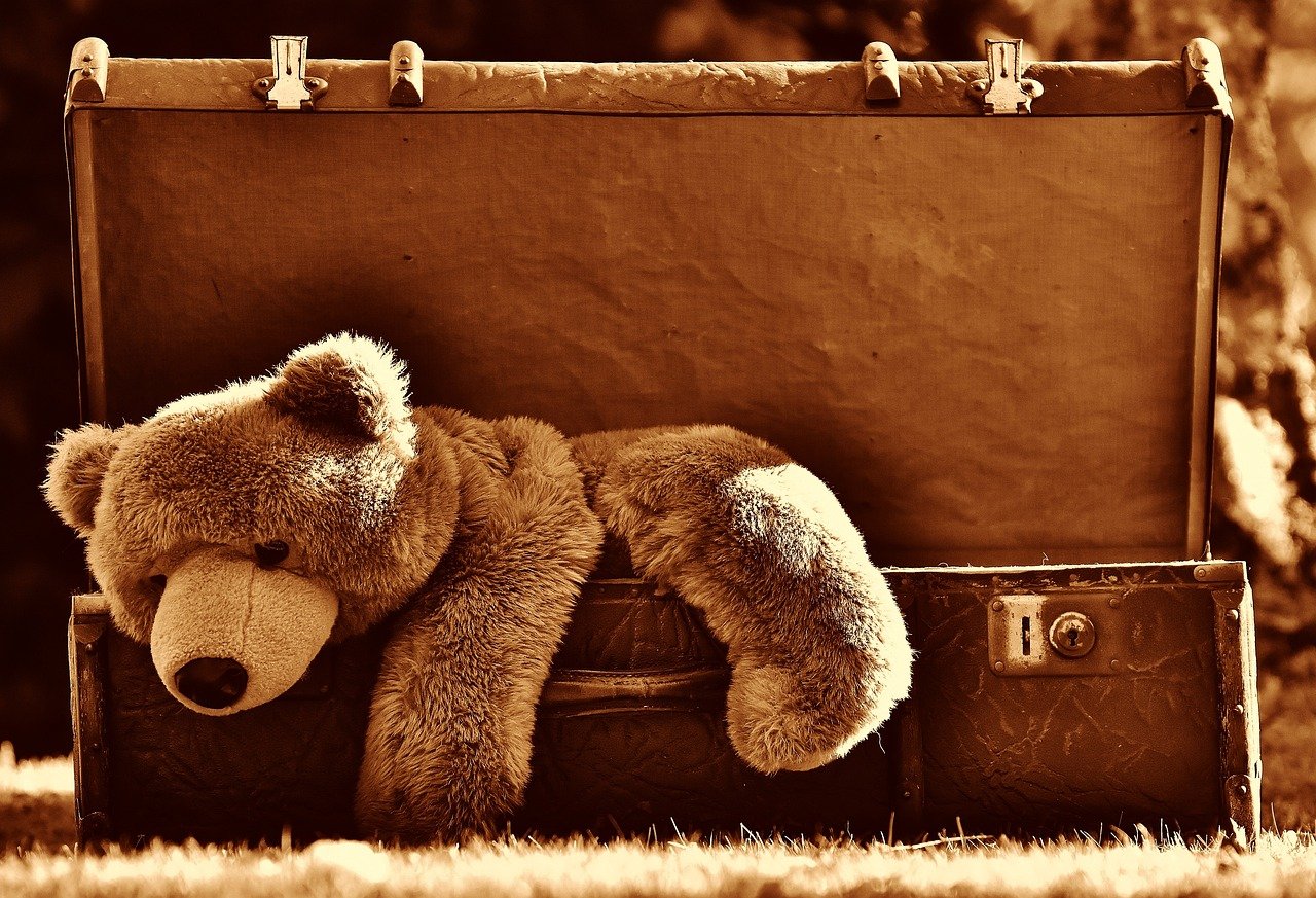 Condition Is Everything in Toy Valuation (image credits: pixabay)